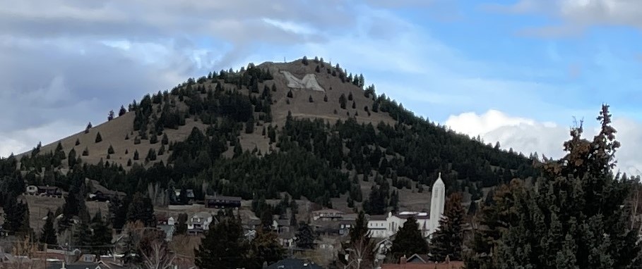 A hillside partly covered with pine looking trees, with some brown grassy patches. Towards the top is a large brown grassy patch with a white capital M displayed prominently. In the foreground you can see some buildings including a tall white church.